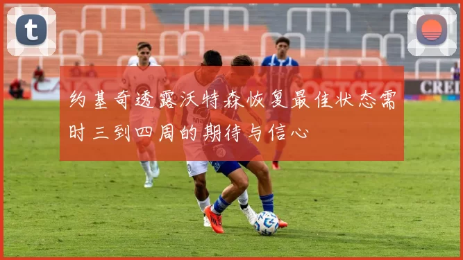 约基奇透露沃特森恢复最佳状态需时三到四周的期待与信心